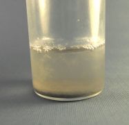 Biomass degradation of cellulose cotton fibers by Catalytic Advanced Oxidation