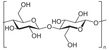 Cellulose molecule