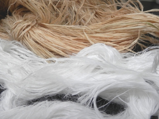 Degumming and cottonization of ramie fibers by Catalytic Advanced Oxidation