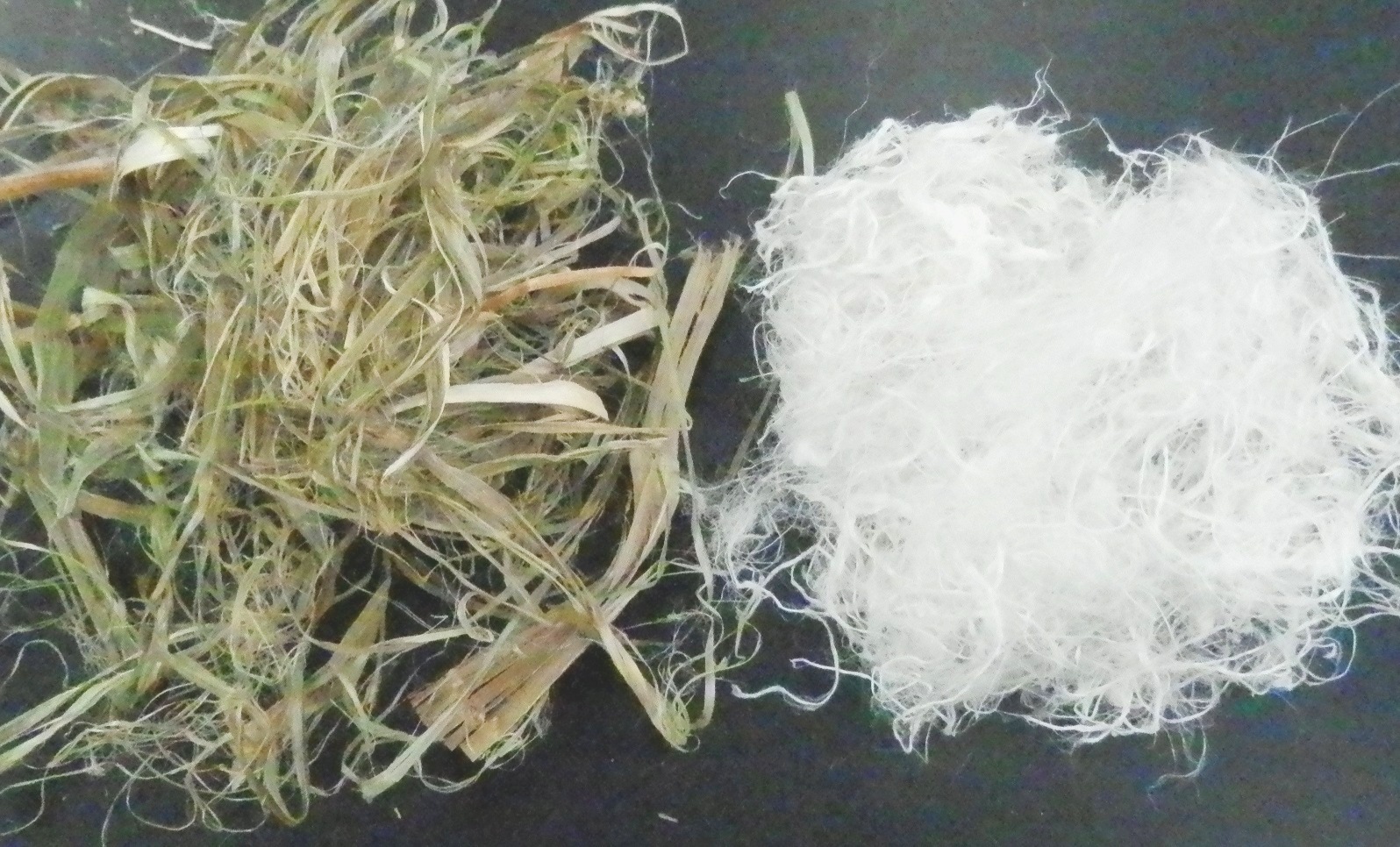 Hemp ribbons delignification and cottonization with Catalytic Advanced Oxidation Hydrogen Link