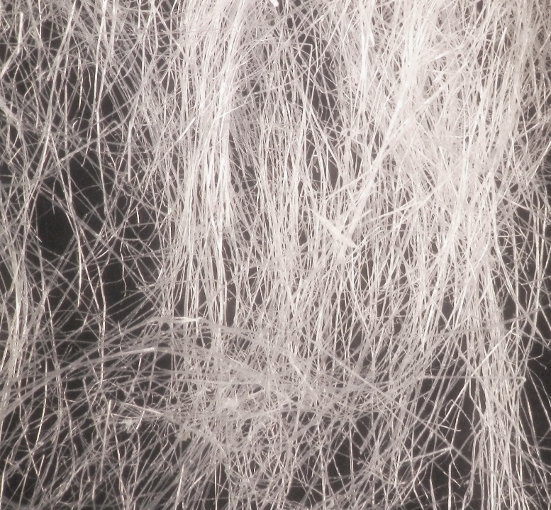 Fully cottonized hemp fibers under microscope Hydrogen Link