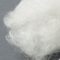 Hemp fibers degummed and cottonized by Catalytic Advanced Oxidation