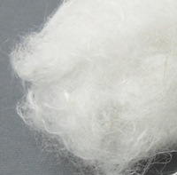 Hemp Bast Fibers | Hydrogen Link