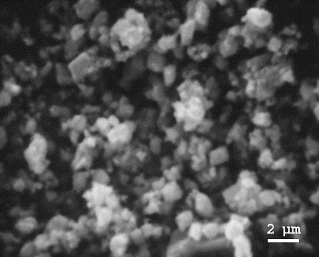 Hydrocatalyst microstructure