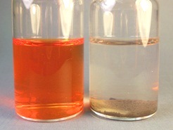 Orange II dye decolorationby Catalytic Advanced Oxidation