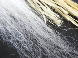 Ramie fiber before and after cottonization Catalytic Advanced Oxidation