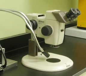 Stereo microscopy