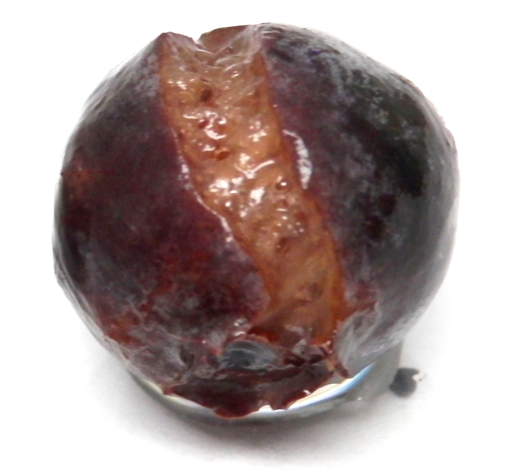 Blueberry organic matter degradation withh Catalytic Advanced Oxidation