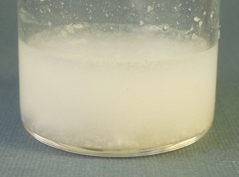 Dairy wastewater before treatment