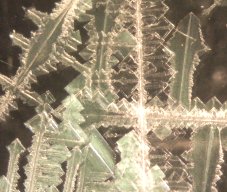 Dendritic crystals