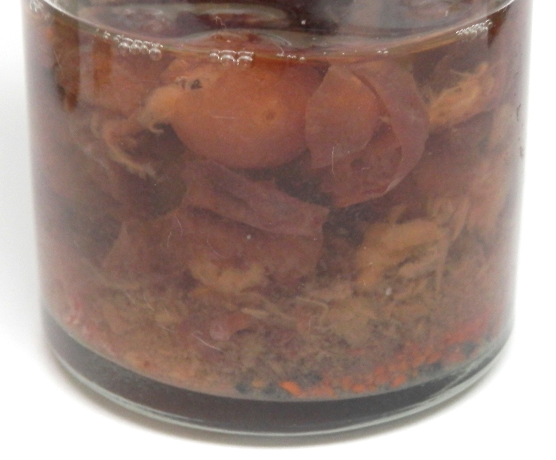 Organic matter before Catalytic Advanced Oxidation catalyst 