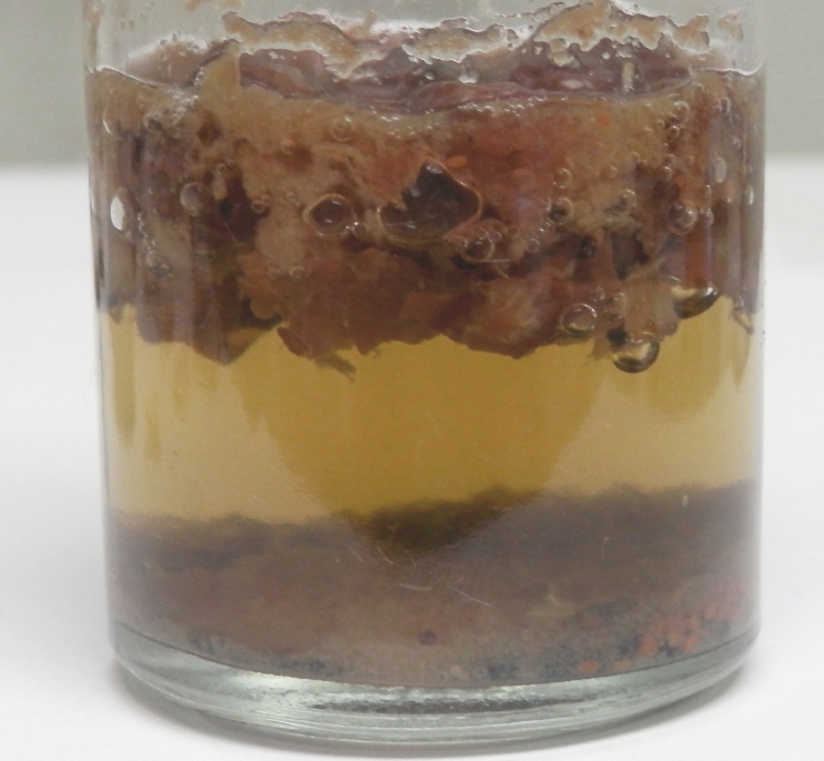 Organic matter during degradation