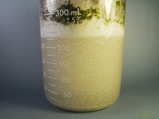 Wastewater treatment by Catalytic Advanced Oxidation catalyst Hydrogen Link